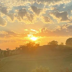 Meet your Posher, Zoe